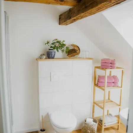 Sunny Near Müritz National Park