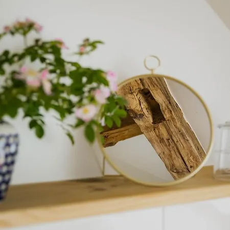 Apartment Sunny Near Mueritz National Park *